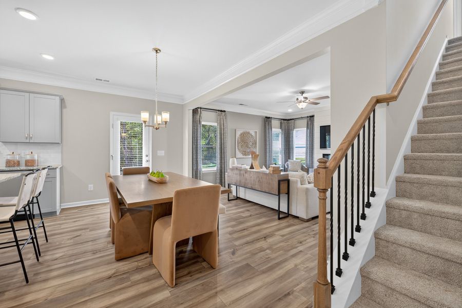 The Coleman - Open Living