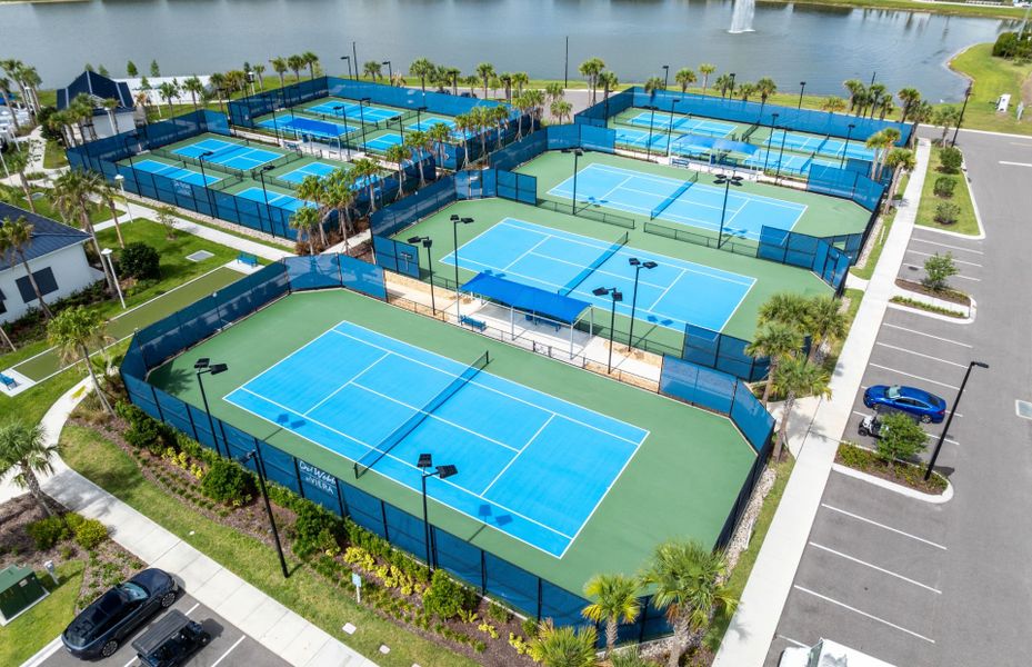 Sports Courts Sports Courts