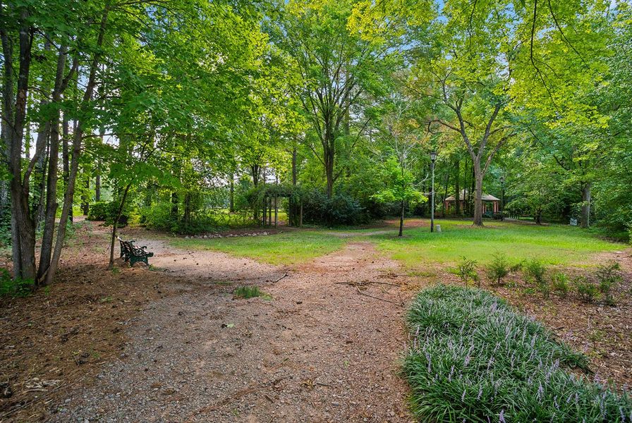 Sanford White Pines Nature Preserve 2of14