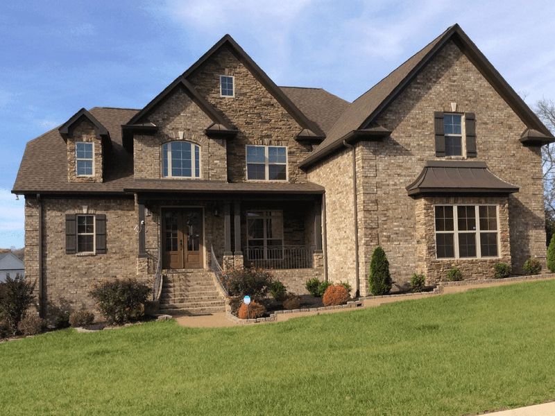 Forest of Lebanon/Ph2,37087