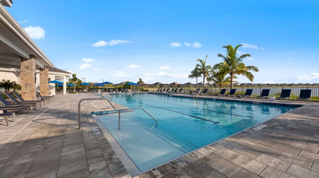 Wildblue swimming pool