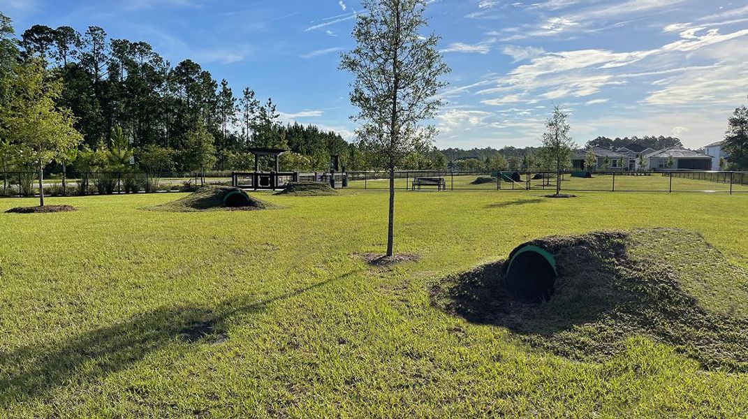 Tributary Amenities Dog Park 1 10 31 25