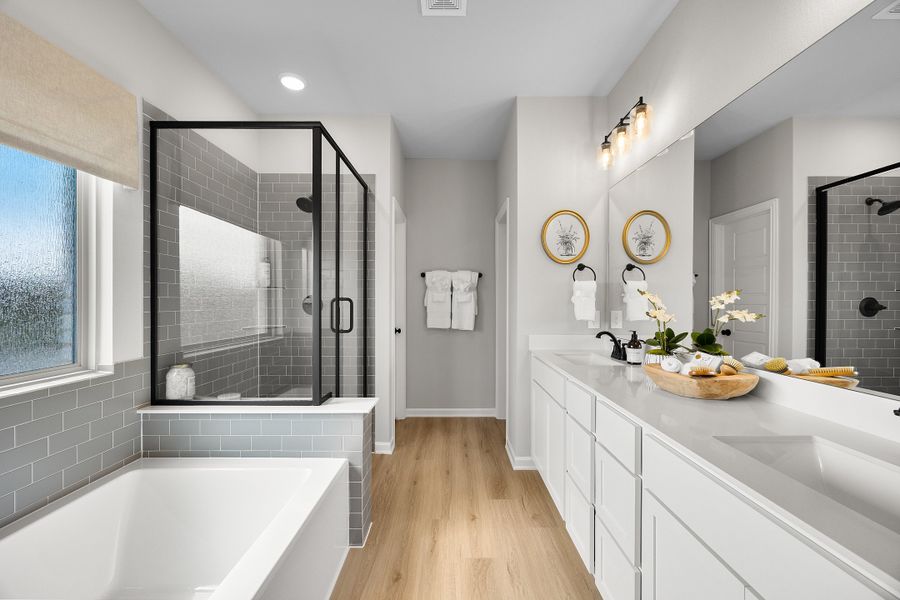 Palmilla Springs - Elderberry Model Home