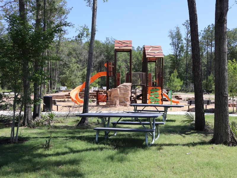 Community amenity available to residents of Robins Landing in Houston (Image 3).