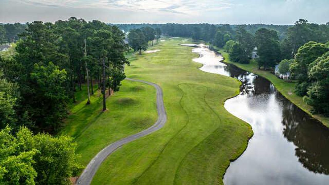 Natural surroundings and green spaces near Brunswick Plantation in Calabash, NC (Image 25). Natural surroundings and green spaces near Brunswick Plantation in Calabash, NC (Image 25).