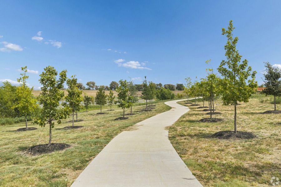Natural surroundings and green spaces near Brookshire at Legacy Hills in Celina, TX (Image 24).