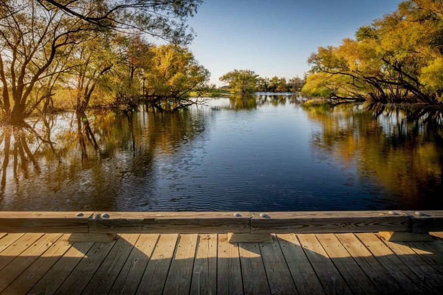 Natural surroundings and green spaces near Heath Golf and Yacht Club in Rockwall, TX (Image 59).