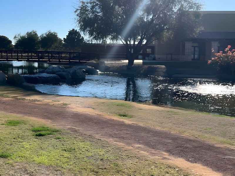 A serene pond with a bridge and lush greenery at The Preserve at Province II by Meritage Homes (Maricopa, AZ).