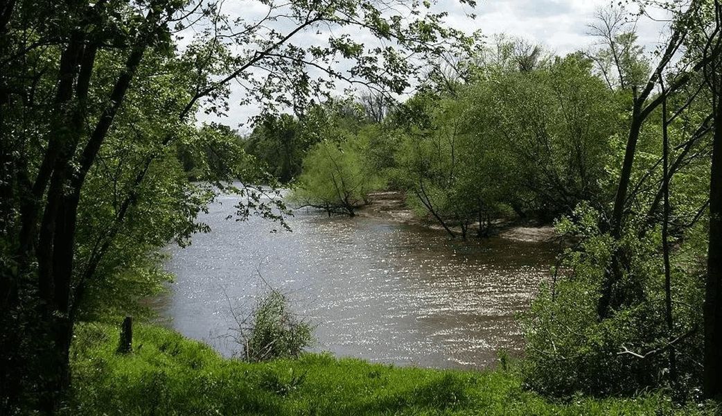 Family-Friendly Recreation