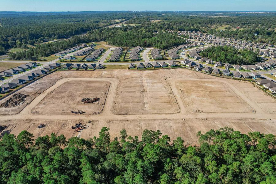 Sterling Ridge,77320