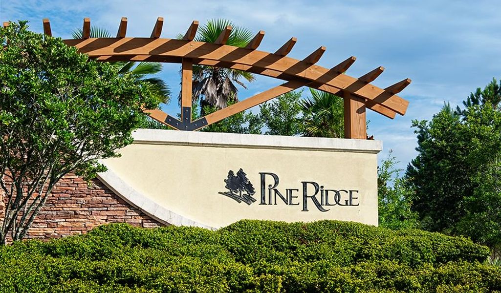 Image 26 of the Seasons at Pine Ridge community in Middleburg, FL.