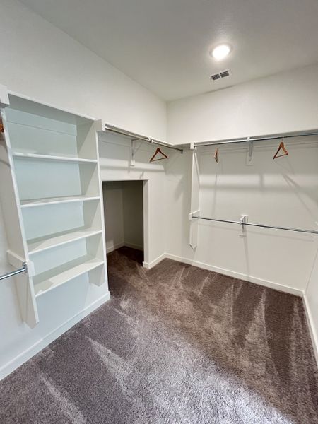 A spacious walk-in closet with carpeted flooring, ample shelving, and modern lighting.