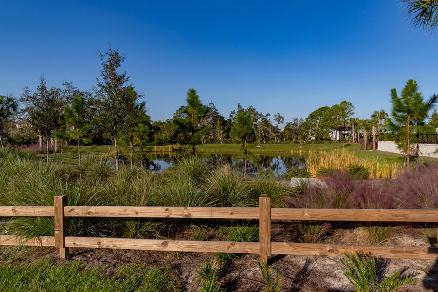 Trinity Gardens in DeLand, FL – New Home Community Surrounded by Nature Trinity Gardens in DeLand, FL – New Home Community Surrounded by Nature
