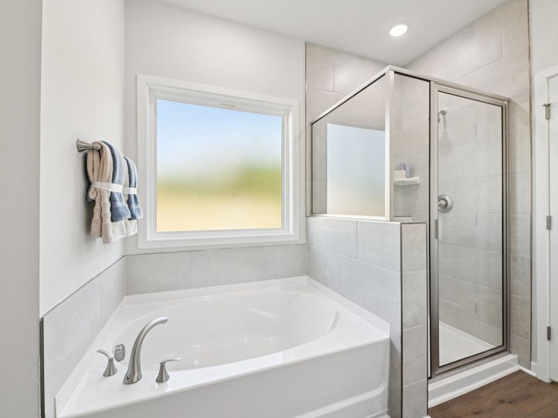 Furnished interior in a model home at Marshburn Landing - Signature Series in Wendell (Image 11).