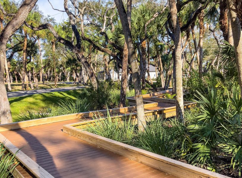 Boardwalk Nature Trail | Seaglass:Boardwalk Nature Trail | Seaglass