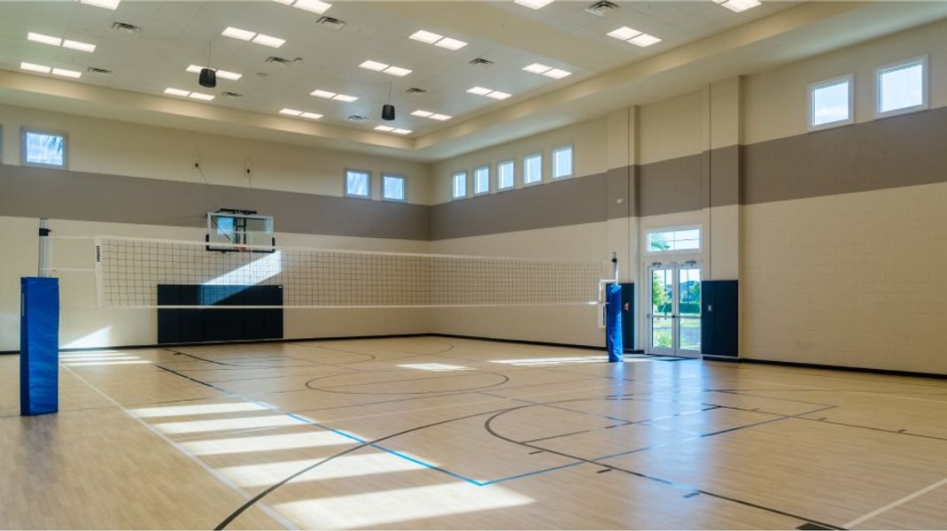 Volleyball court