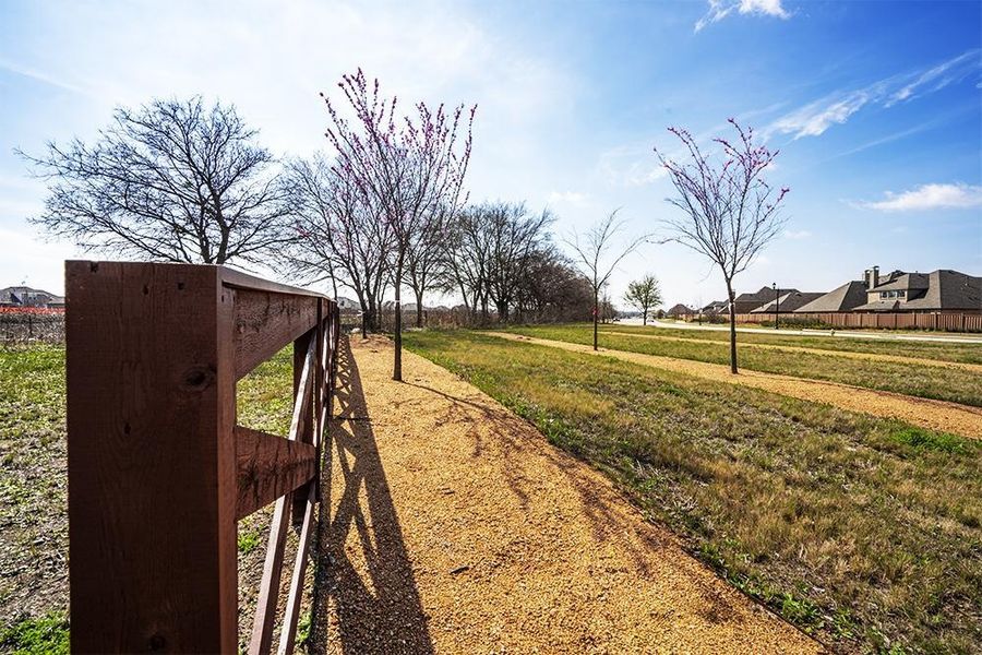 Image 11 of the The Homestead at Ownsby Farms community in Celina, TX.
