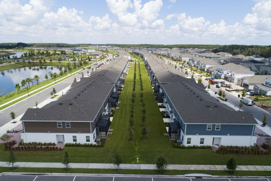 Streetscape Streetscape