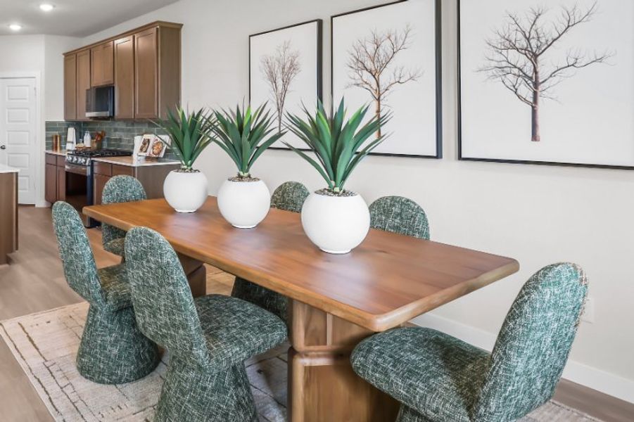 A dining room table with chairs and a plant on it. A dining room table with chairs and a plant on it.