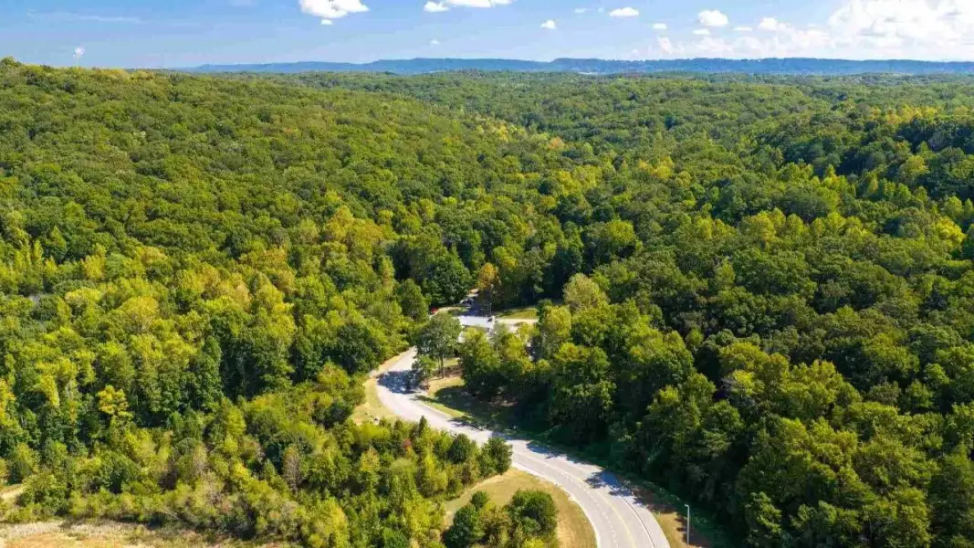 Natural surroundings and green spaces near Lillie Acres in Chattanooga, TN (Image 31).