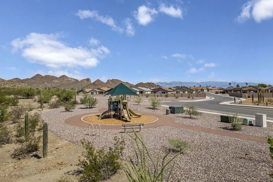 Community playground