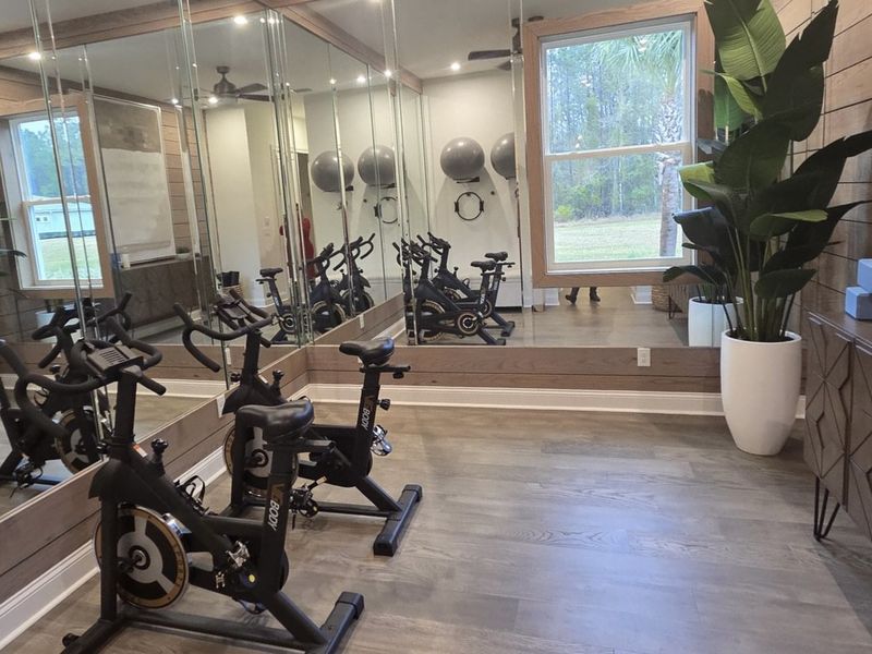 A sleek gym with mirrored walls, stationary bikes, and a large window offering a serene view outside.
