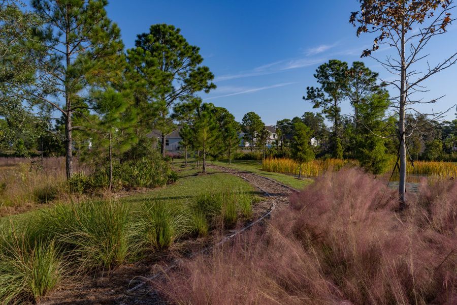 Trinity Gardens in DeLand, FL – New Home Community Surrounded by Nature Trinity Gardens in DeLand, FL – New Home Community Surrounded by Nature