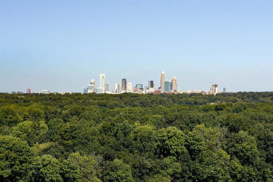 Image 12 of the Bridle Creek community in Charlotte, NC. Image 12 of the Bridle Creek community in Charlotte, NC.