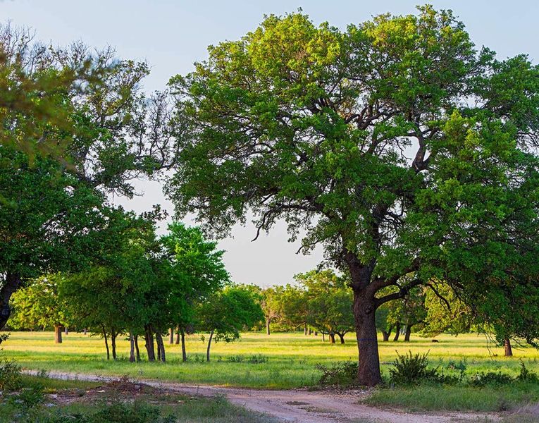 Image 3 of the Rancho Sienna 50 community in Georgetown, TX.