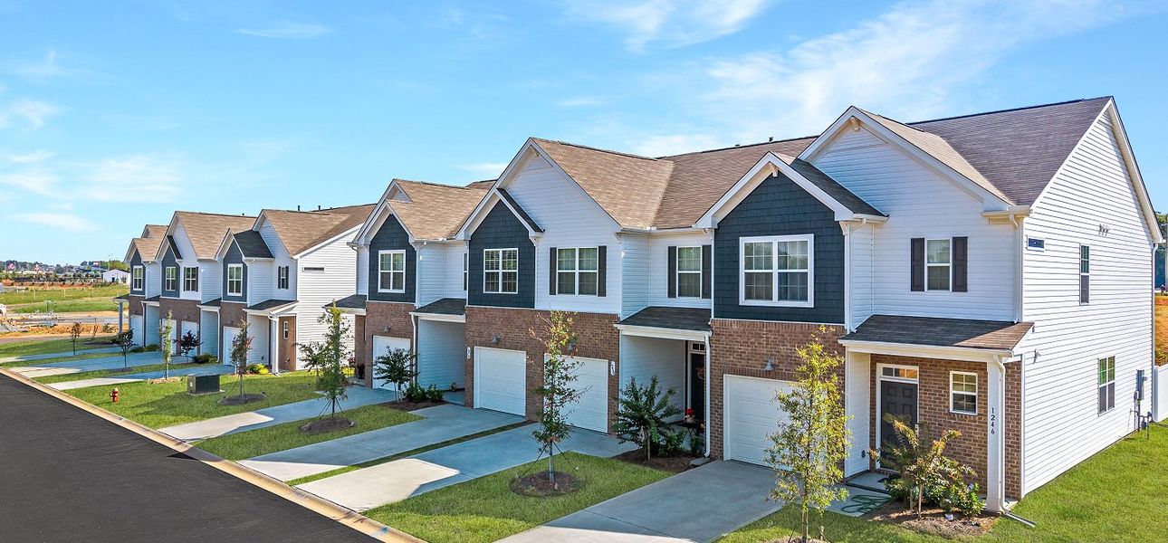 Chestnut Springs Steetscape 091025 Chestnut Springs Steetscape 091025