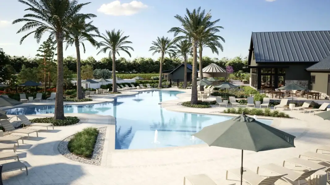 Swimming pool amenity