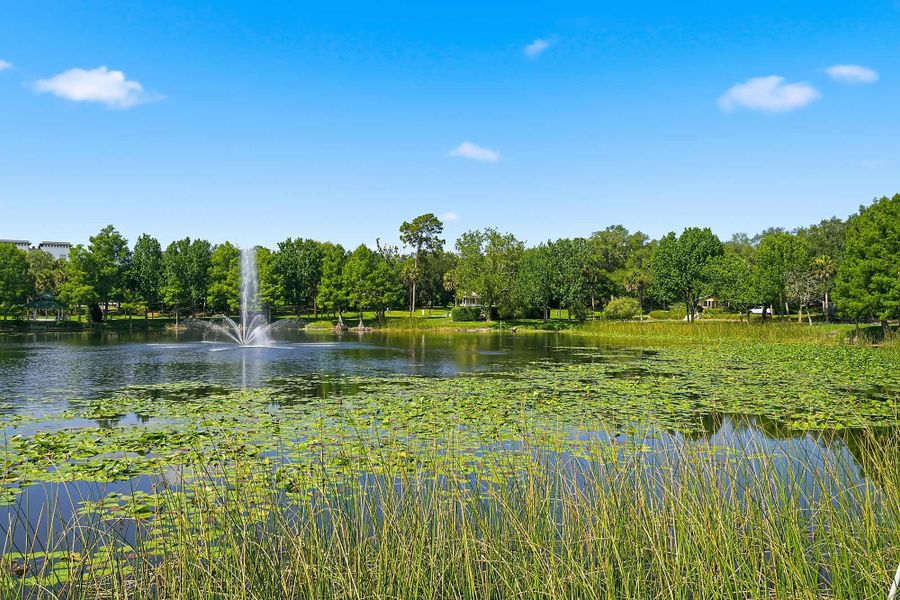 Natural surroundings and green spaces near The Towns at Trelago in Maitland, FL (Image 3).