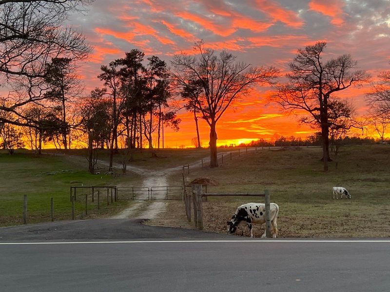 A Historic Neighborhood with Beautiful Surrounding Farmland A Historic Neighborhood with Beautiful Surrounding Farmland