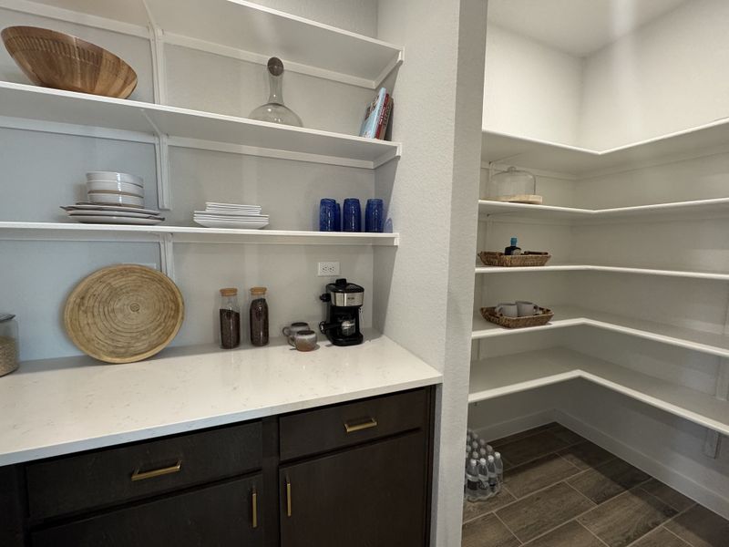 A spacious pantry with sleek open shelving, dark cabinets, and ample storage for kitchen essentials. A spacious pantry with sleek open shelving, dark cabinets, and ample storage for kitchen essentials.