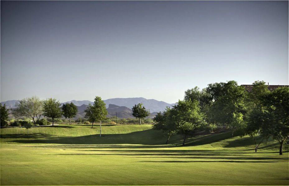 Image 10 of the Desert Oasis master-planned community in Surprise, AZ.