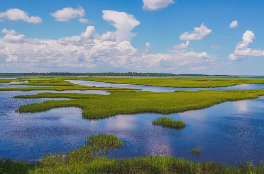 Natural surroundings and green spaces near Edwards Creek Estates in Jacksonville, FL (Image 26). Natural surroundings and green spaces near Edwards Creek Estates in Jacksonville, FL (Image 26).