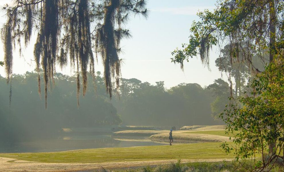 Natural surroundings and green spaces near New Riverside Village in Bluffton, SC (Image 17).