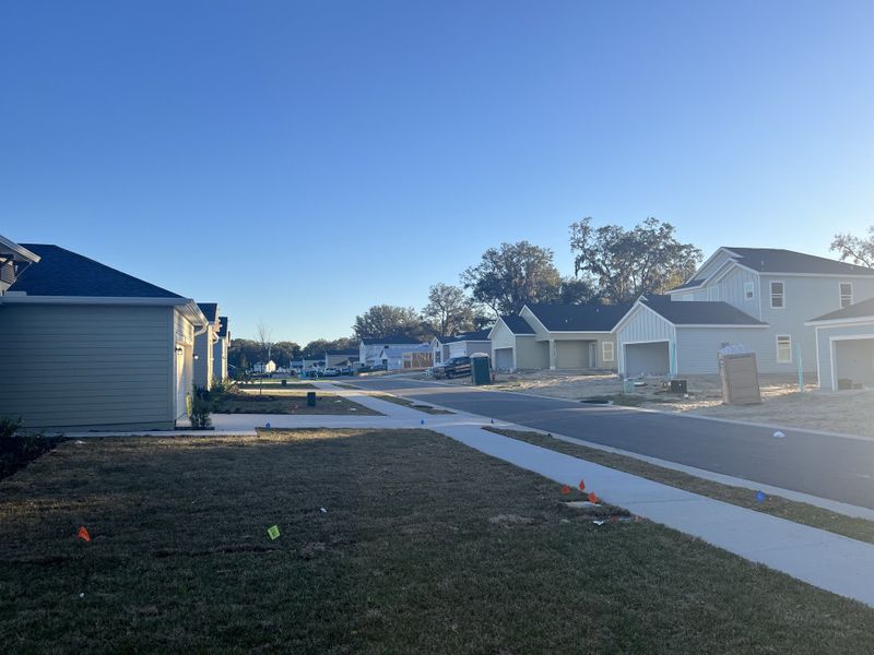 A picturesque street view of modern homes in Millwood Estates - The Meadows by Lennar (Ocala, FL).