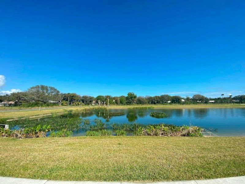 Natural surroundings and green spaces near The Strand in Vero Beach, FL (Image 104).