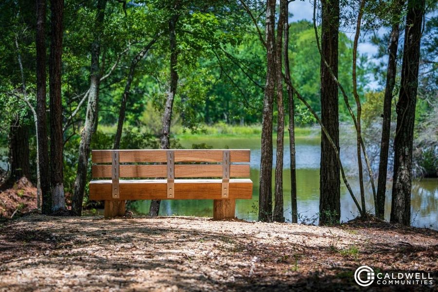 Natural surroundings and green spaces near Chambers Creek in Willis, TX (Image 16).