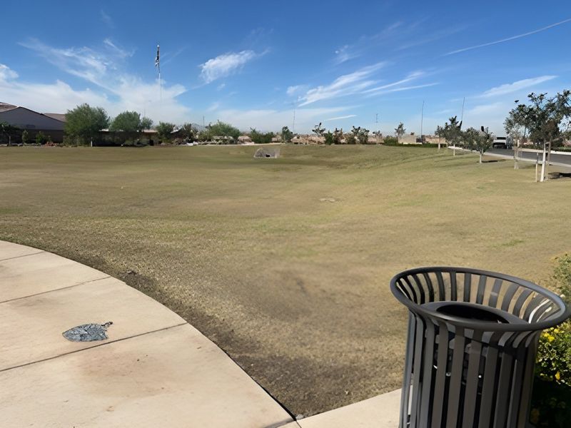 A spacious green park with a walking path in Alamar: Premier by Lennar in Avondale, AZ, under a clear blue sky.