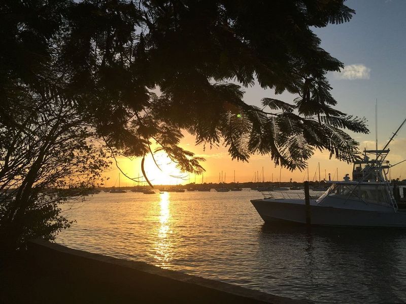 Natural surroundings and green spaces near Mosaic in Port St. Lucie, FL (Image 42).