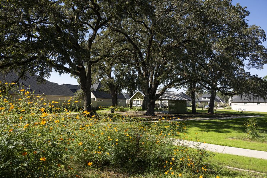 Community amenity available to residents of Audubon in Magnolia (Image 13).