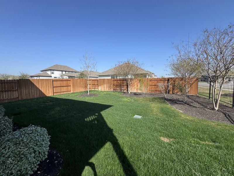 A serene backyard with lush grass and trees in the Trace community by Chesmar Homes (San Marcos, TX). A serene backyard with lush grass and trees in the Trace community by Chesmar Homes (San Marcos, TX).