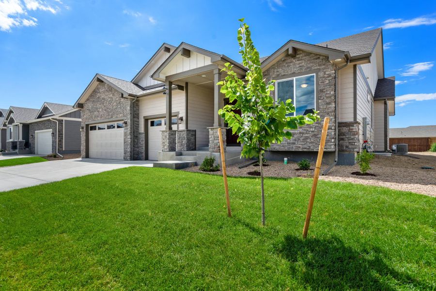 Kinston Centerra,80538 Kinston Centerra,80538