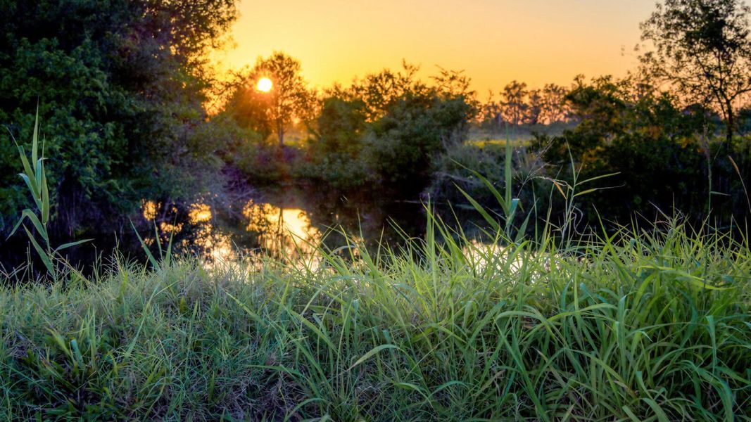 Natural surroundings and green spaces near Vistera of Venice Real Estate and Homes for Sale in Venice, FL - Neal Communities in Nokomis, FL (Image 28).