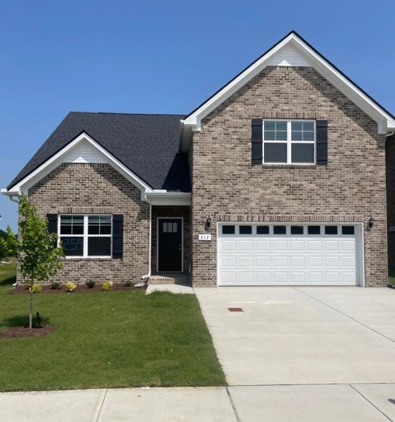 Choose from our variety of brick options