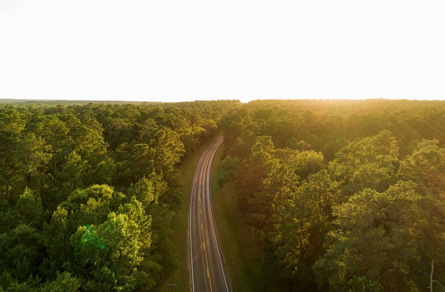 Natural surroundings and green spaces near Texas Grand Ranch in Huntsville, TX (Image 7).