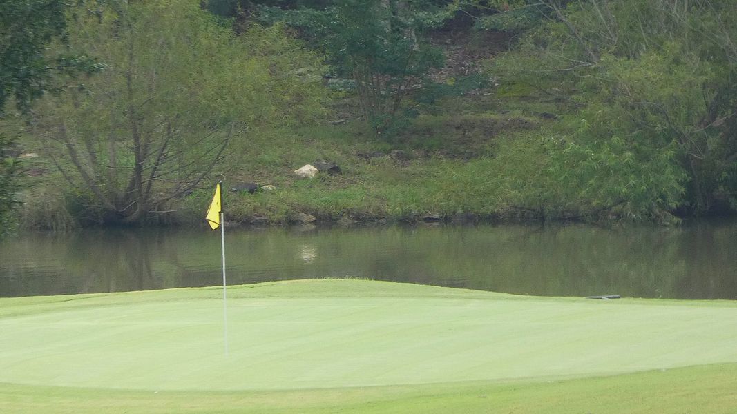 Natural surroundings and green spaces near The Villas at Pinewood in Asheboro, NC (Image 17).