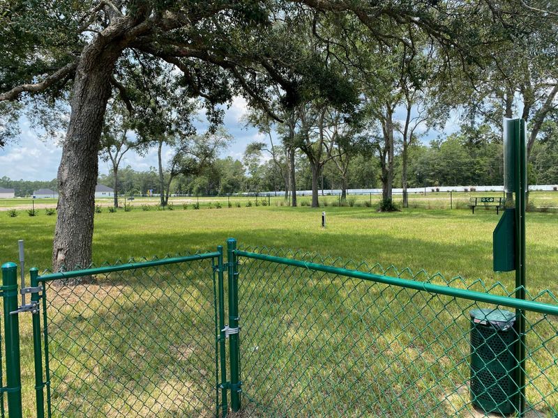 Image 55 of the Sandy Bluff community in Yulee, FL.